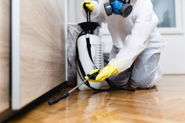 Best Flea Control Services  in Aurora, CO
