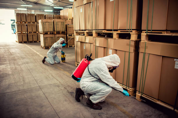Professional Pest Control in Aurora, CO