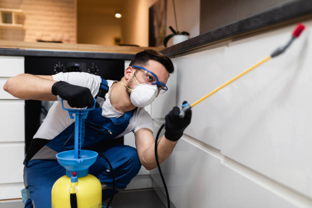 Best Bed Bug Extermination  in Aurora, CO