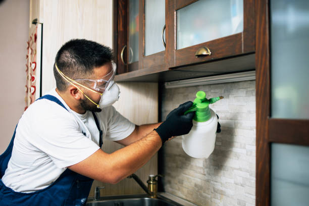 Best Affordable Pest Control Services  in Aurora, CO