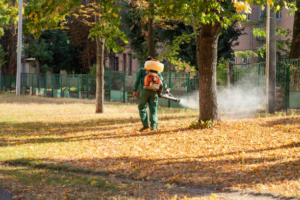 Best Local Pest Control Services  in Aurora, CO