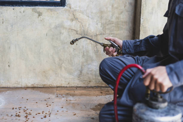 Best Pest Removal Services  in Aurora, CO